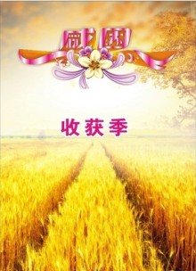 东升绝缘材料-感恩精彩有您